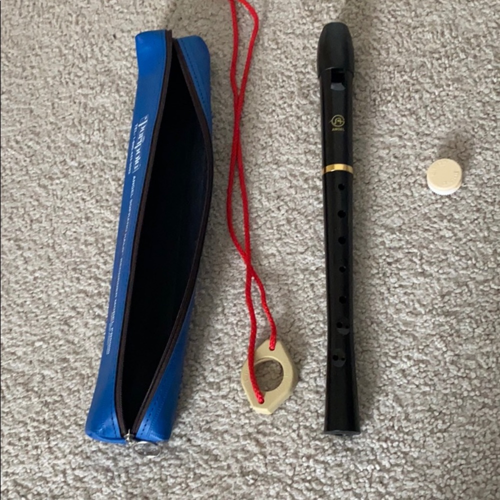 Recorder instrument
